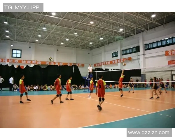 刘强专访揭秘排球成功秘诀与团队合作的重要性